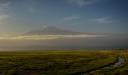 Parcul Național Amboseli, Kenya