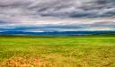 Parcul Național Hustai, Mongolia