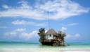  Zanzibar, Tanzania